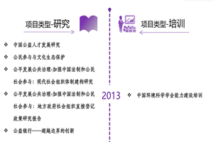 t用力插大屁股啪啪非评估类项目发展历程